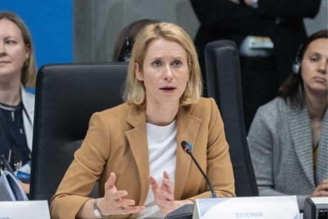 Avropa İttifaqı rəsmisi İranın Naxçıvana dron hücumunu pislədi