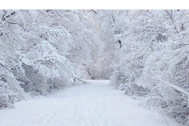 Sabah qar yağacaq – XƏBƏRDARLIQ