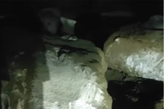 Buzovnada qaya daşlarını zədələyən şəxs saxlanıldı