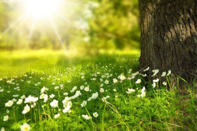 Sabah 17 dərəcə isti olacaq