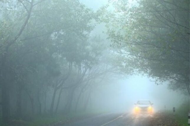 Sürücülərin NƏZƏRİNƏ: Bəzi yollarda duman olacaq