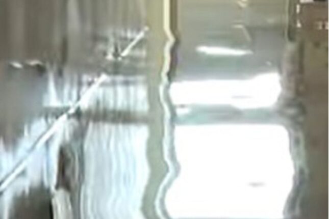 Bakıda bu evlər hələ də suyun içindədir- Video