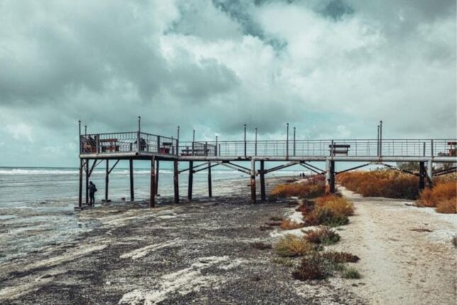 Xəzərdə suyun səviyyəsinin azalması nə vaxta qədər davam edəcək? (VİDEO) Xəzərdə suyun səviyyəsinin azalması nə vaxta qədər davam edəcək? (VİDEO)