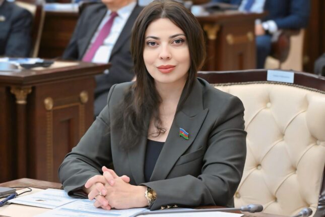 “Ölkəmizin təhlükəsizliyi “qırmızı xət”dir” – Deputat Səbinə Salmanovadan SƏRT Naxçıvan açıqlaması