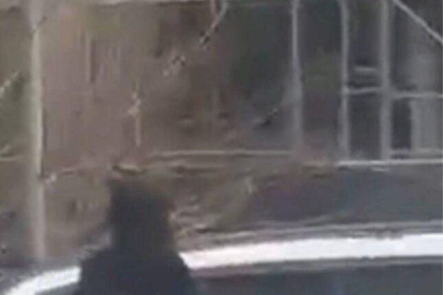 Bakıda çılpaq qadın küçədə gəzdi – FOTO