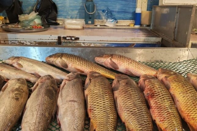 Azərbaycanda balıq bahalaşıb? – Bazar qiymətləri