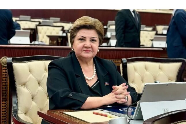 Tənzilə Rüstəmxanlı Fazil Mustafanın çıxışından danışdı – Açıqlama