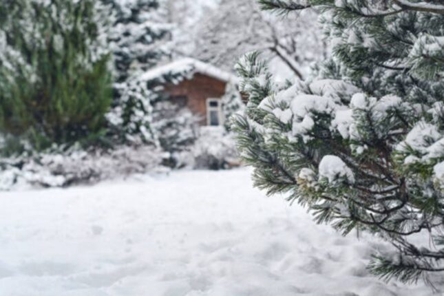 Qar yağacaq, şaxta olacaq