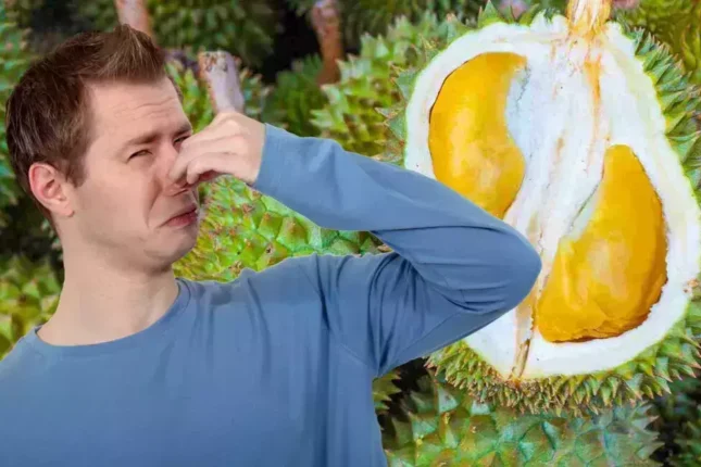 Dünyanın ən pis iyli, amma ən bahalı meyvəsi: Durian niyə bu qədər məşhurdur?