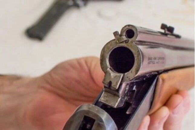 2 nəfərin güllələnməsi ilə bağlı cinayət işi açıldı