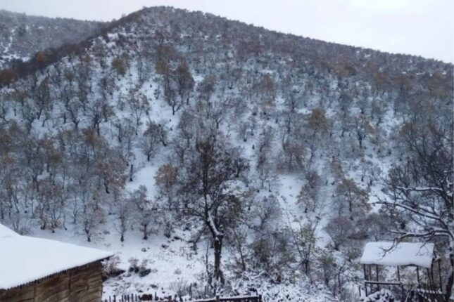 Rayonlara qar yağacaq – PROQNOZ