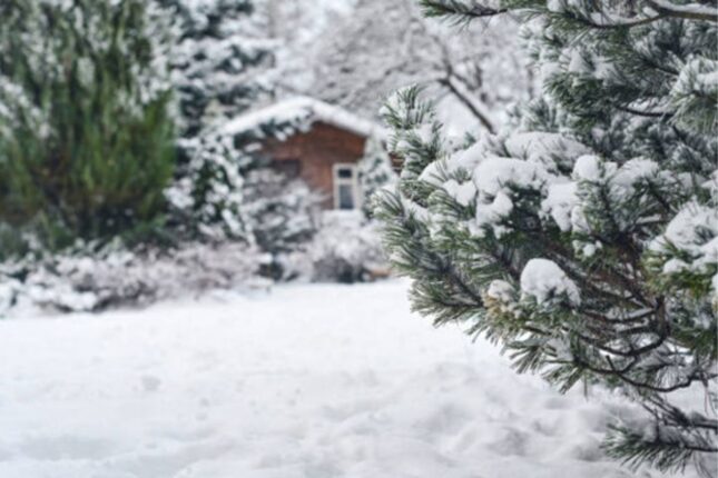 Bəzi ərazilərə qar yağır – Faktiki hava