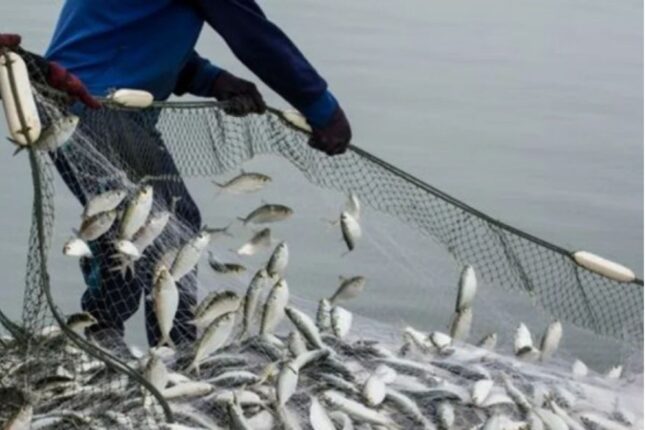 Sabahdan balıq ovu qadağan OLUNUR