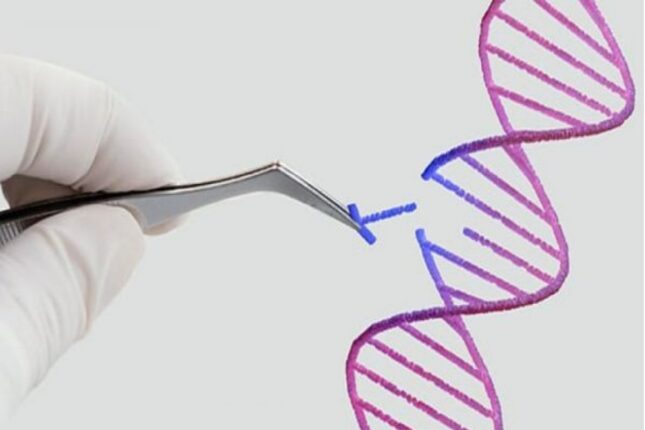 Azərbaycanda insanın klonu patent obyekt kimi qəbul edilməyəcək