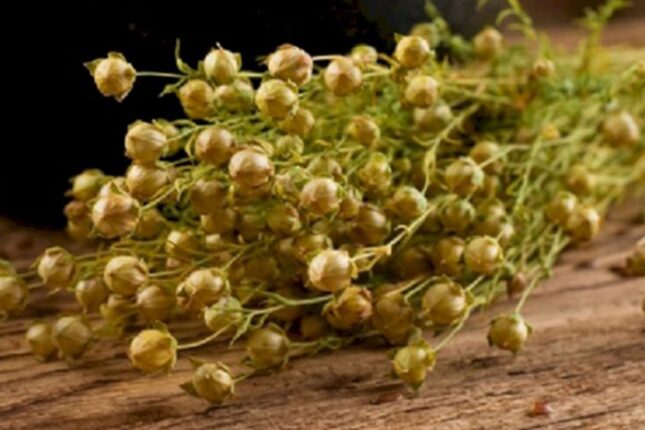 Üzərliklə bağlı daha bir qurumdan – Çağırış