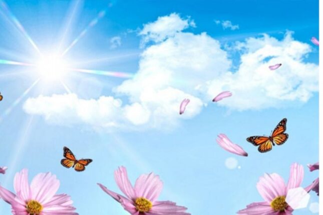 Bu gün Novruzun üçüncü – Yel çərşənbəsidir