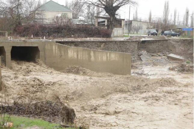 Xaçmazda 537 evi su basdı