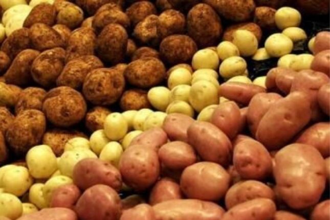Azərbaycanda kartof BAHALAŞDI