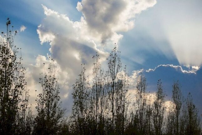 Sabaha olan hava proqnozu açıqlandı