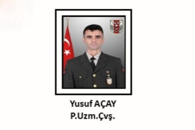 Türkiyə ordusu şəhid verdi