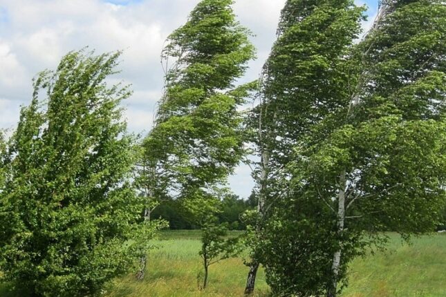 Sabahdan külək güclənəcək – XƏBƏRDARLIQ