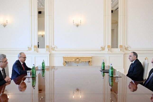 İlham Əliyev Muhsin Şəntürkü qəbul etdi