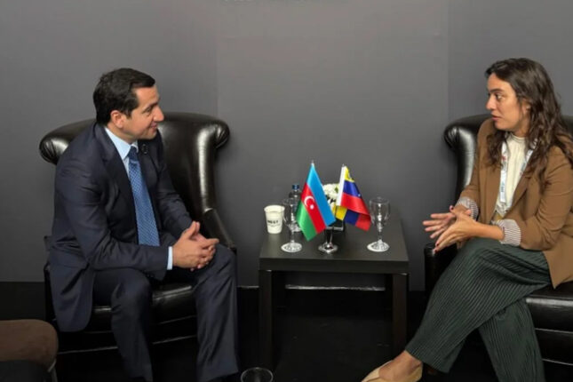 Hikmət Hacıyev Venesuelanın XİN rəhbərinin müavini müzakirələr apardı