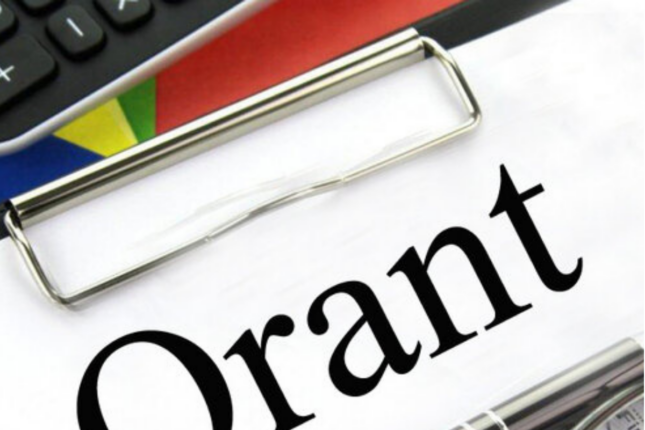Bu şəxslərə qrant verilməsi xüsusi qaydada müəyyənləşdirildi