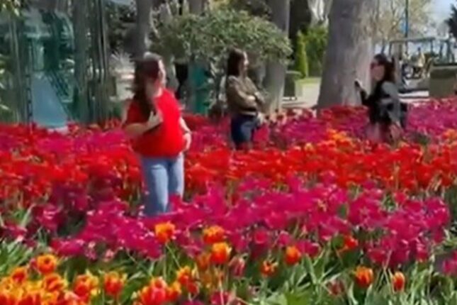 Bulvarda gülləri əzən 10 nəfər polisə çağırıldı – Video