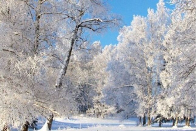 Bazar günü yağış, qar yağacaq