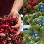 alca-148-gilas-238-manata8230-bes-yayda-meyve-qiymetleri-nece-olacaq-8211-aciqlama