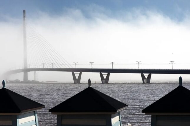 Dünyanın ən uzun piyada körpülərindən biri açıldı