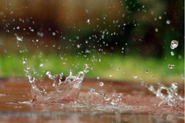 Sabah bu ərazilərdə yağış yağacaq