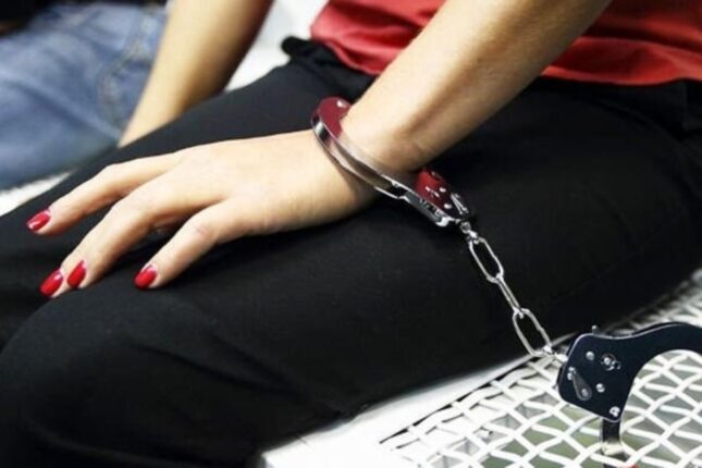 Azərbaycandan qaçan məktəb direktoru ölkəyə gətirildi