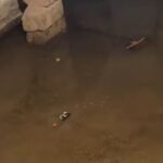 bineqedi-sakinleri-acinacaqli-veziyyetde-8211-video