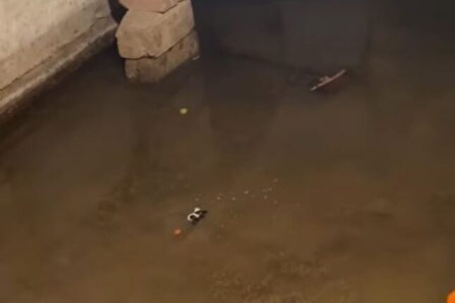 Binəqədi sakinləri acınacaqlı vəziyyətdə – Video