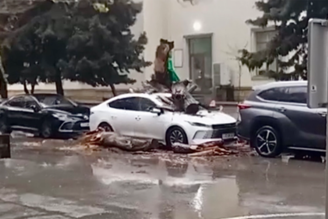 Nəhəng ağac “BYD”nin üstünə aşdı – Video