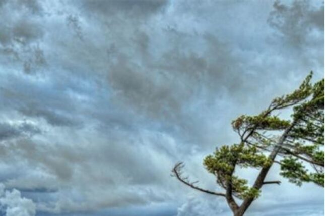 Küləkli hava şəraiti ilə bağlı XƏBƏRDARLIQ