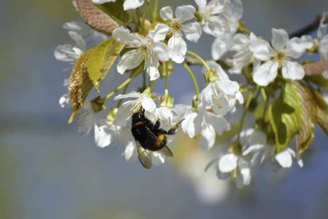 Aprelin son günü 22° isti olacaq