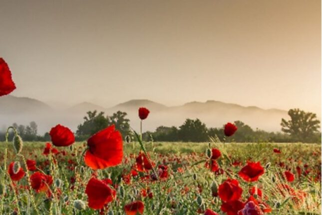 Aprel ayında hava necə olacaq?
