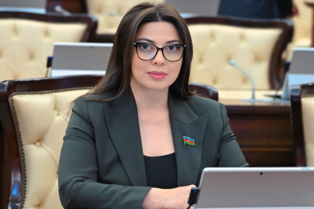 “Prezident tərəfindən səsləndirilən fikirlər göstərdi ki…” – Deputat