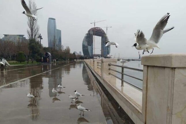 Bakı və Abşeronda hava yağışlı olacaq