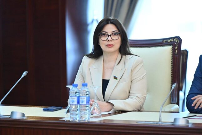 “28 May təkcə tarix deyil, milli iradənin təntənəsidir” – Deputat