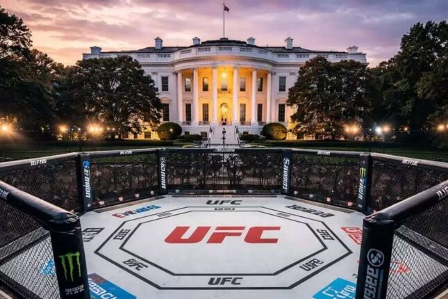 UFC turnirinin mükafat fondu açıqlandı