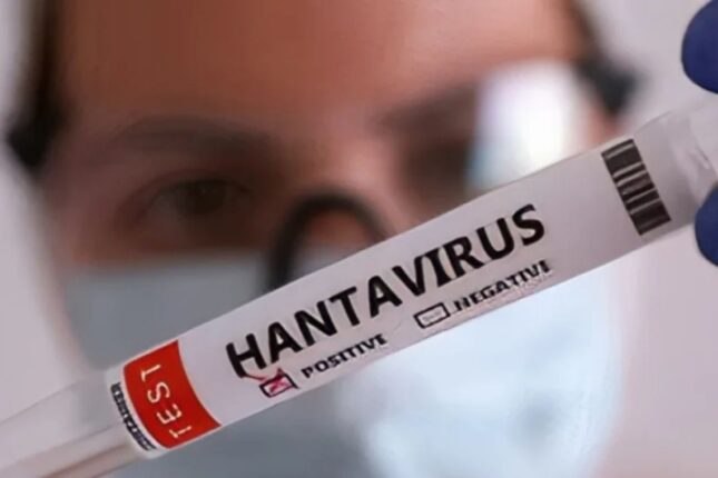 Azərbaycanda hantavirusa yoluxma qeydə alınıb?