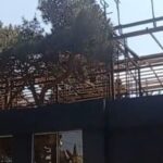 sabuncuda-park-ve-agaclar-tehlukede-8211-video