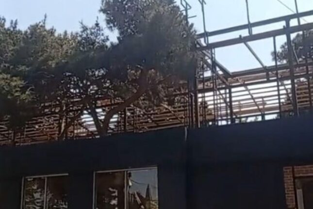 Sabunçuda park və ağaclar təhlükədə – Video