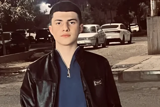 Polkovnikin oğlu qətlə yetirildi – Öldürən danışdı