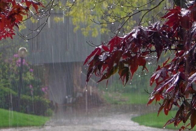 Bəzi rayonlara leysan yağır – FAKTİKİ HAVA Bəzi rayonlara leysan yağır – FAKTİKİ HAVA