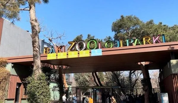 Bu qurum 350 min manatlıq siçan aldı Bu qurum 350 min manatlıq siçan aldı